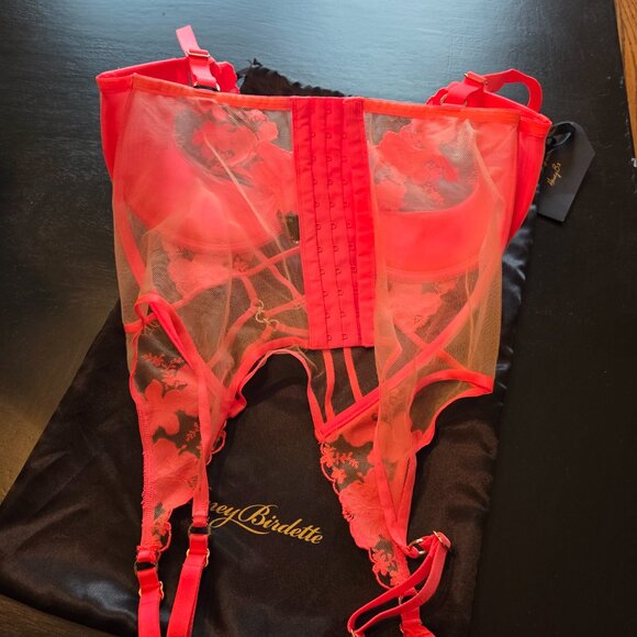 Honey Birdette Rue bustier - new with tags - Picture 2 of 3